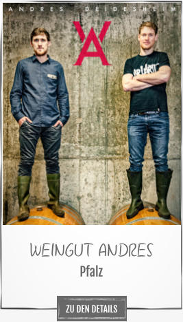 WEINGUT ANDRES Pfalz ZU DEN DETAILS
