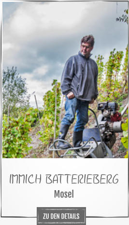 IMMICH BATTERIEBERG Mosel ZU DEN DETAILS