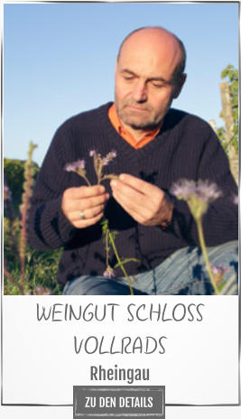 WEINGUT SCHLOSS VOLLRADS Rheingau ZU DEN DETAILS