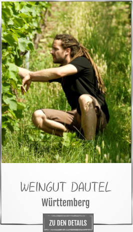 WEINGUT DAUTEL Württemberg ZU DEN DETAILS