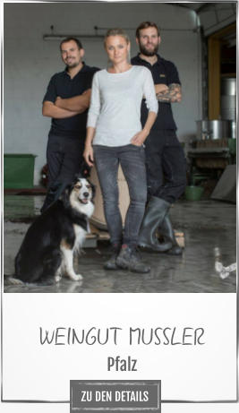 WEINGUT MUSSLER Pfalz ZU DEN DETAILS