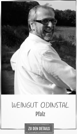 WEINGUT ODINSTAL Pfalz ZU DEN DETAILS
