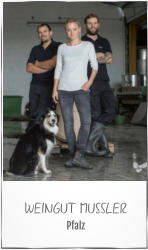 WEINGUT MUSSLER Pfalz