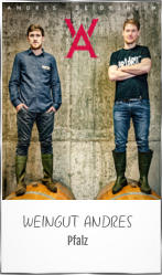 WEINGUT ANDRES Pfalz