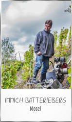 IMMICH BATTERIEBERG Mosel