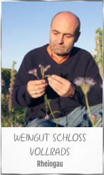 WEINGUT SCHLOSS VOLLRADS Rheingau